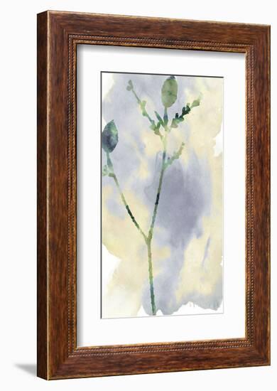 Wildflower Lyrical-Tania Bello-Framed Giclee Print