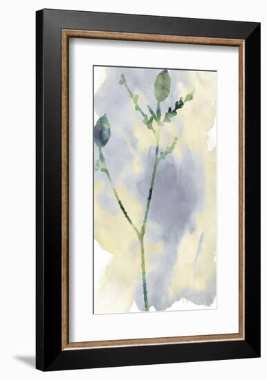 Wildflower Lyrical-Tania Bello-Framed Giclee Print