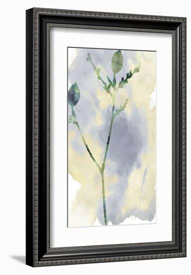 Wildflower Lyrical-Tania Bello-Framed Giclee Print