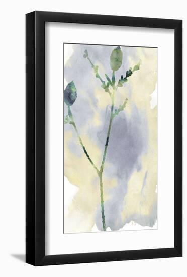 Wildflower Lyrical-Tania Bello-Framed Giclee Print