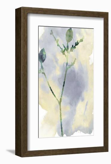 Wildflower Lyrical-Tania Bello-Framed Giclee Print