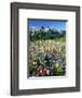 Wildflower Meadow and Tatoosh Range-Craig Tuttle-Framed Photographic Print