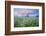 Wildflower Meadow at Dawn, Nemunas Delta, Lithuania, June 2009-Hamblin-Framed Photographic Print