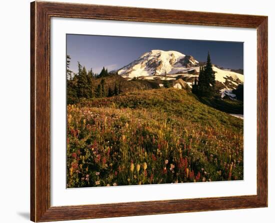 Wildflower Meadow Below Mount Rainier-Stuart Westmorland-Framed Photographic Print