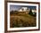 Wildflower Meadow Below Mount Rainier-Stuart Westmorland-Framed Photographic Print