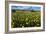 Wildflower Meadow In South Africa-Bob Gibbons-Framed Photographic Print