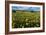 Wildflower Meadow In South Africa-Bob Gibbons-Framed Photographic Print