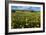 Wildflower Meadow In South Africa-Bob Gibbons-Framed Photographic Print