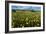 Wildflower Meadow In South Africa-Bob Gibbons-Framed Photographic Print