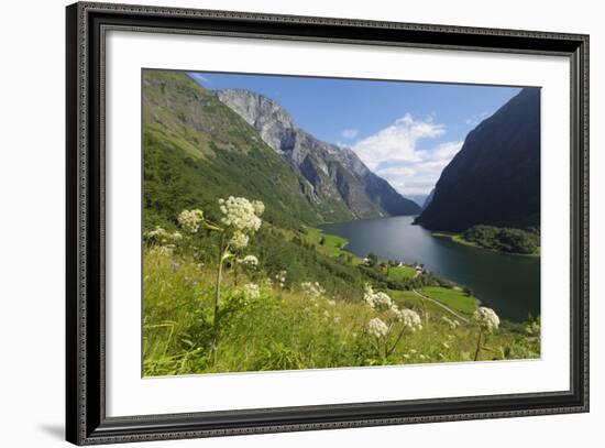 Wildflower Meadow Overlooking Naeroyfjorden, Sogn Og Fjordane, UNESCO World Heritage Site, Norway-Gary Cook-Framed Photographic Print