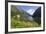 Wildflower Meadow Overlooking Naeroyfjorden, Sogn Og Fjordane, UNESCO World Heritage Site, Norway-Gary Cook-Framed Photographic Print