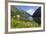 Wildflower Meadow Overlooking Naeroyfjorden, Sogn Og Fjordane, UNESCO World Heritage Site, Norway-Gary Cook-Framed Photographic Print