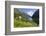 Wildflower Meadow Overlooking Naeroyfjorden, Sogn Og Fjordane, UNESCO World Heritage Site, Norway-Gary Cook-Framed Photographic Print