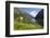 Wildflower Meadow Overlooking Naeroyfjorden, Sogn Og Fjordane, UNESCO World Heritage Site, Norway-Gary Cook-Framed Photographic Print