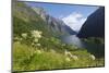 Wildflower Meadow Overlooking Naeroyfjorden, Sogn Og Fjordane, UNESCO World Heritage Site, Norway-Gary Cook-Mounted Photographic Print