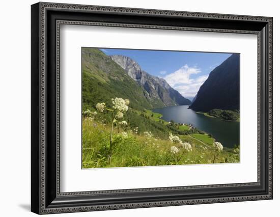 Wildflower Meadow Overlooking Naeroyfjorden, Sogn Og Fjordane, UNESCO World Heritage Site, Norway-Gary Cook-Framed Photographic Print