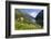 Wildflower Meadow Overlooking Naeroyfjorden, Sogn Og Fjordane, UNESCO World Heritage Site, Norway-Gary Cook-Framed Photographic Print