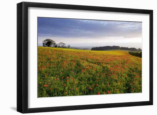 Wildflower Meadow-Bob Gibbons-Framed Photographic Print