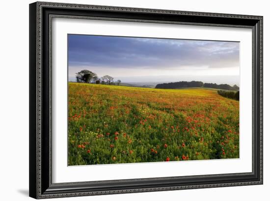 Wildflower Meadow-Bob Gibbons-Framed Photographic Print