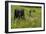 Wildflower Meadow-Bob Gibbons-Framed Photographic Print