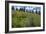 Wildflower Meadow-Bob Gibbons-Framed Photographic Print