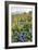 Wildflower Meadow-Bob Gibbons-Framed Photographic Print