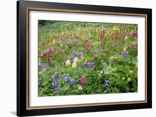 Wildflower Meadow-Bob Gibbons-Framed Photographic Print