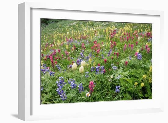 Wildflower Meadow-Bob Gibbons-Framed Photographic Print