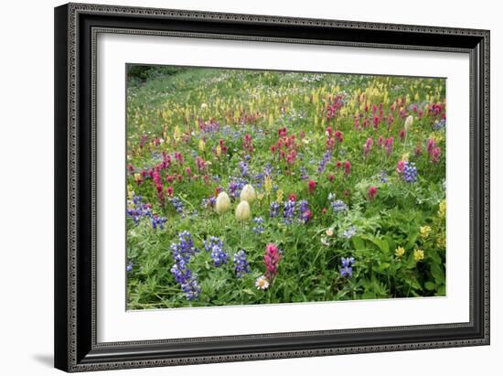 Wildflower Meadow-Bob Gibbons-Framed Photographic Print