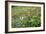 Wildflower Meadow-Bob Gibbons-Framed Photographic Print