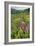 Wildflower Meadow-Bob Gibbons-Framed Photographic Print