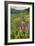 Wildflower Meadow-Bob Gibbons-Framed Photographic Print