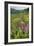 Wildflower Meadow-Bob Gibbons-Framed Photographic Print