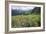 Wildflower Meadow-Bob Gibbons-Framed Photographic Print