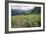 Wildflower Meadow-Bob Gibbons-Framed Photographic Print