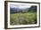 Wildflower Meadow-Bob Gibbons-Framed Photographic Print