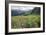 Wildflower Meadow-Bob Gibbons-Framed Photographic Print