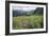 Wildflower Meadow-Bob Gibbons-Framed Photographic Print