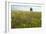 Wildflower Meadows, Romania-Bob Gibbons-Framed Photographic Print