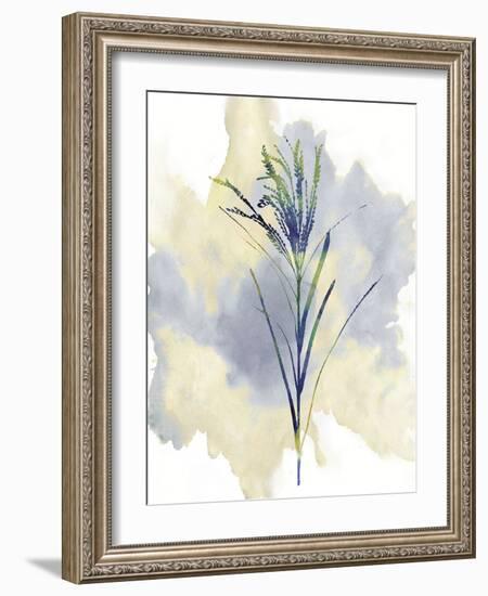 Wildflower Melody-Tania Bello-Framed Giclee Print