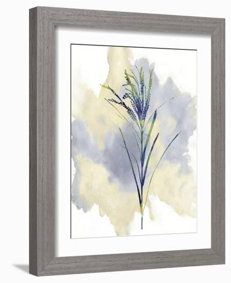 Wildflower Melody-Tania Bello-Framed Giclee Print