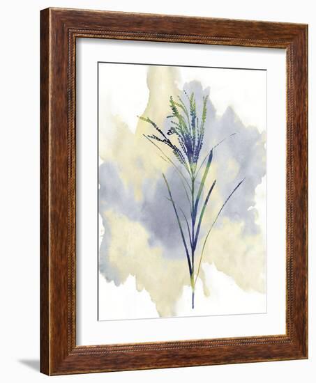 Wildflower Melody-Tania Bello-Framed Giclee Print