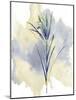 Wildflower Melody-Tania Bello-Mounted Giclee Print