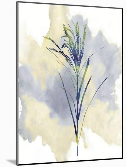 Wildflower Melody-Tania Bello-Mounted Giclee Print