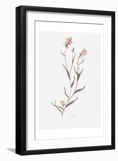 Wildflower Organics IV-Beverly Dyer-Framed Art Print