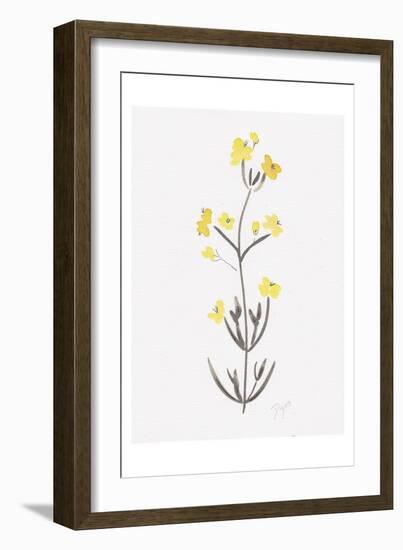 Wildflower Organics VI-Beverly Dyer-Framed Art Print