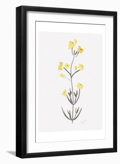 Wildflower Organics VI-Beverly Dyer-Framed Art Print