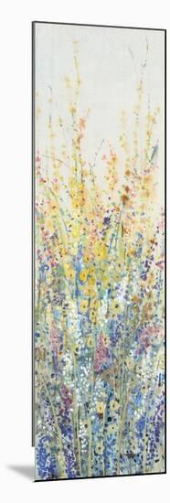Wildflower Panel II-Tim OToole-Mounted Art Print