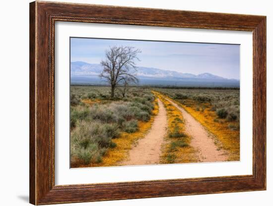 Wildflower Road, Central California-Vincent James-Framed Photographic Print