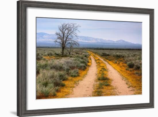 Wildflower Road, Central California-Vincent James-Framed Photographic Print